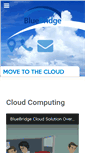 Mobile Screenshot of bluebridgenetworks.com